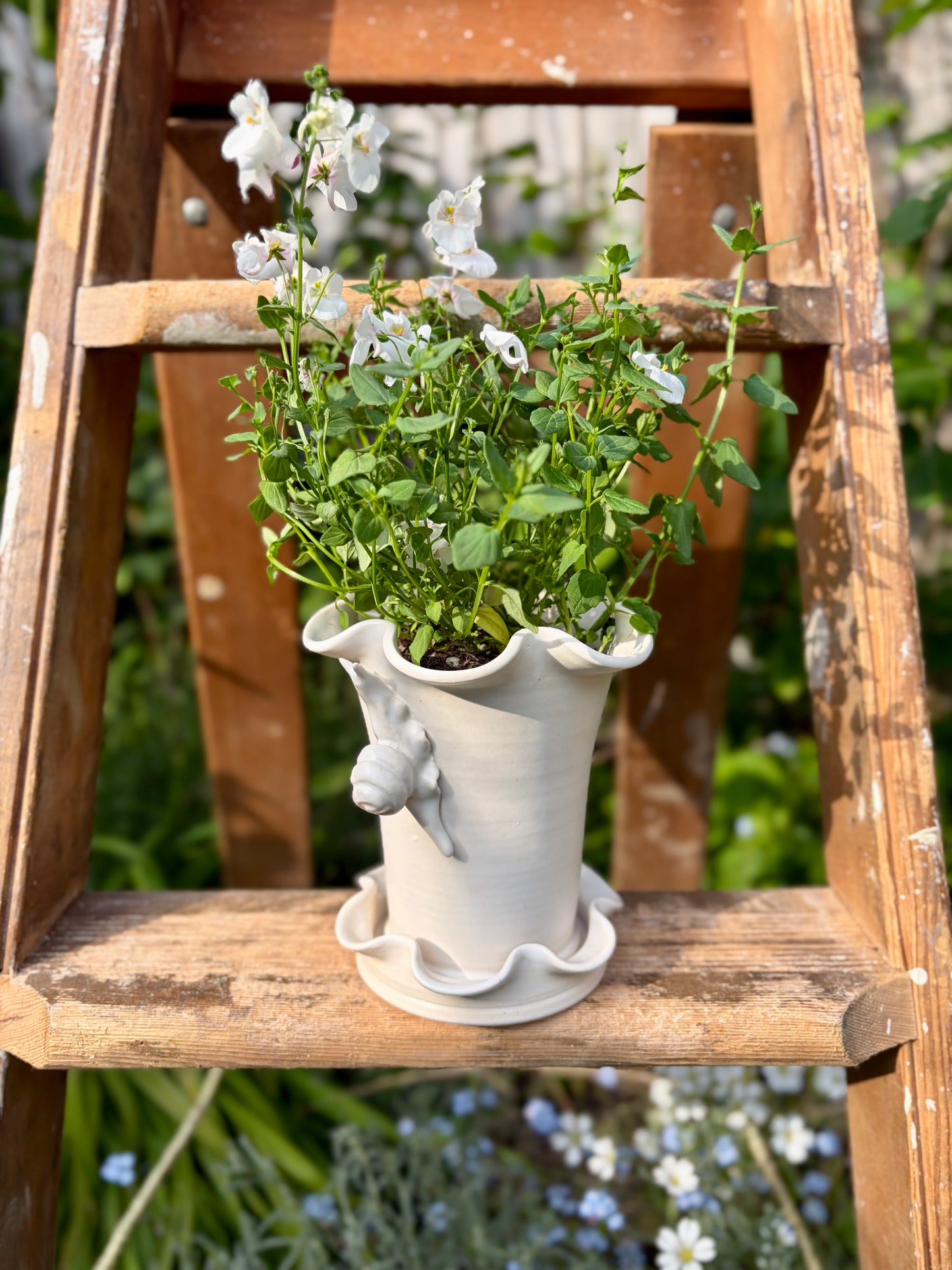 Frilly Snail Plant Pot
