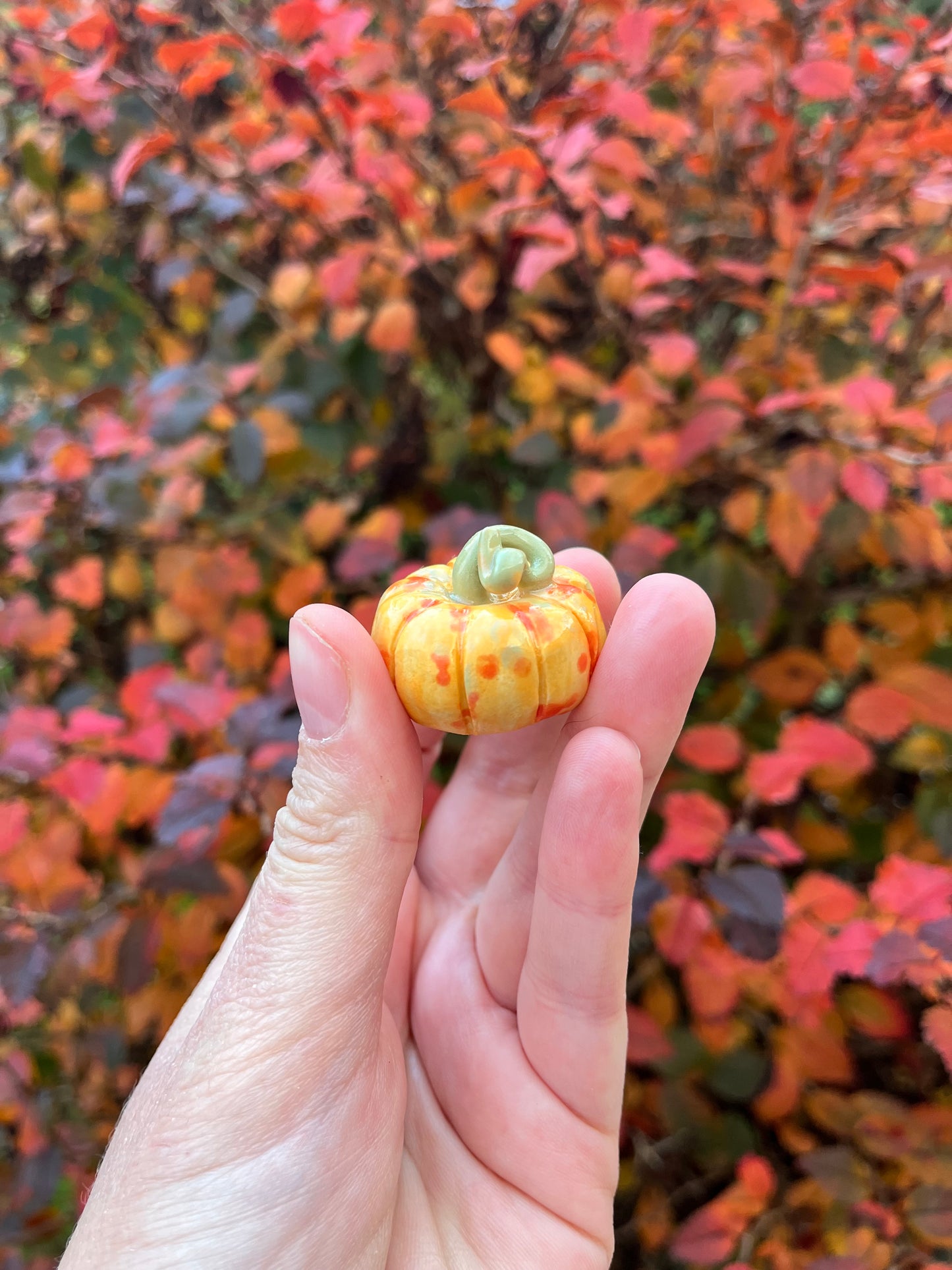 1 Pocket Pumpkins