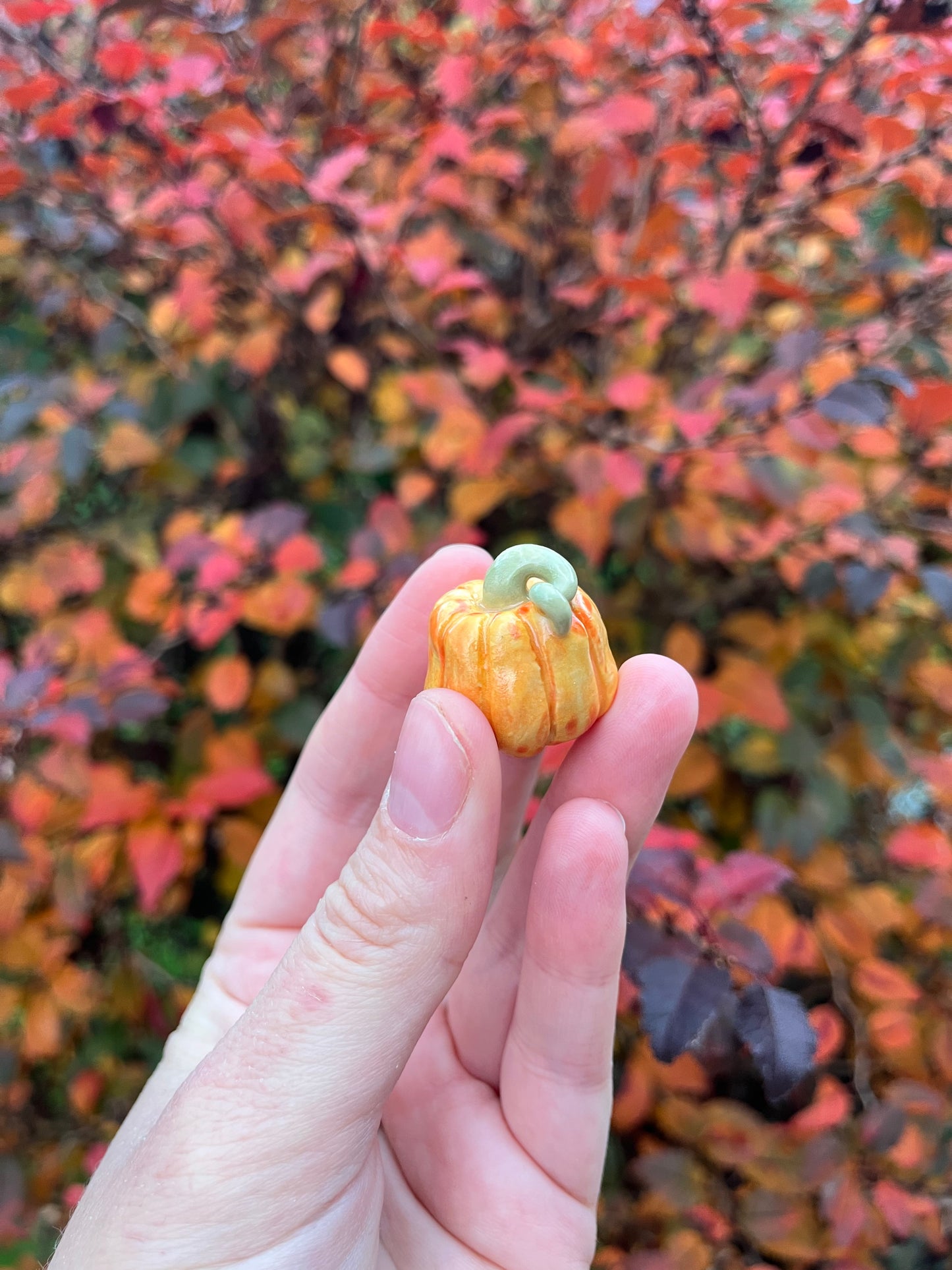 1 Pocket Pumpkins