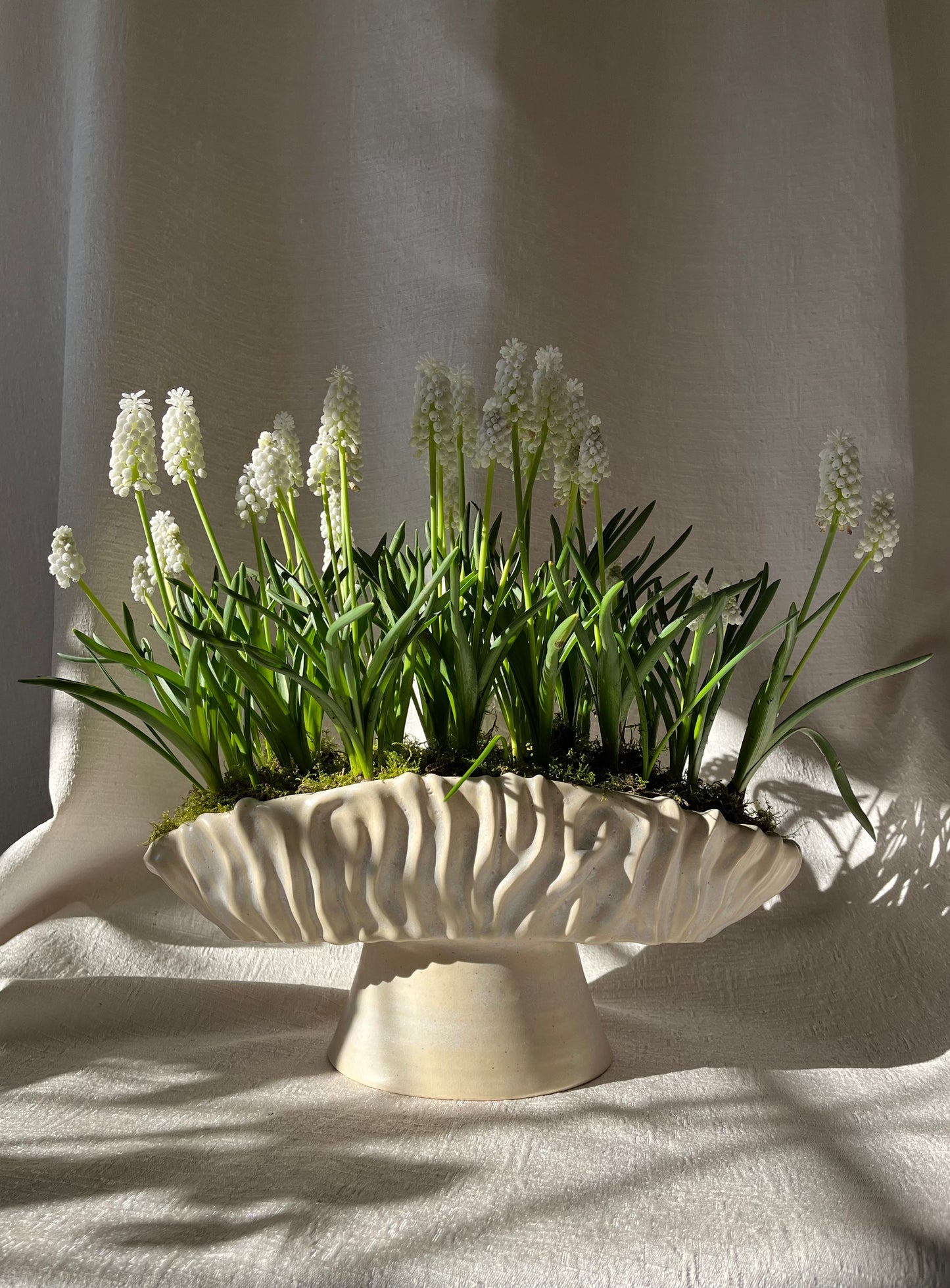 Textured Oval Pedestal Planter - Opal