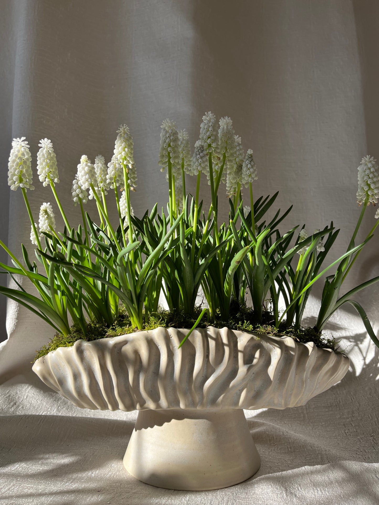 Textured Oval Pedestal Planter - Opal
