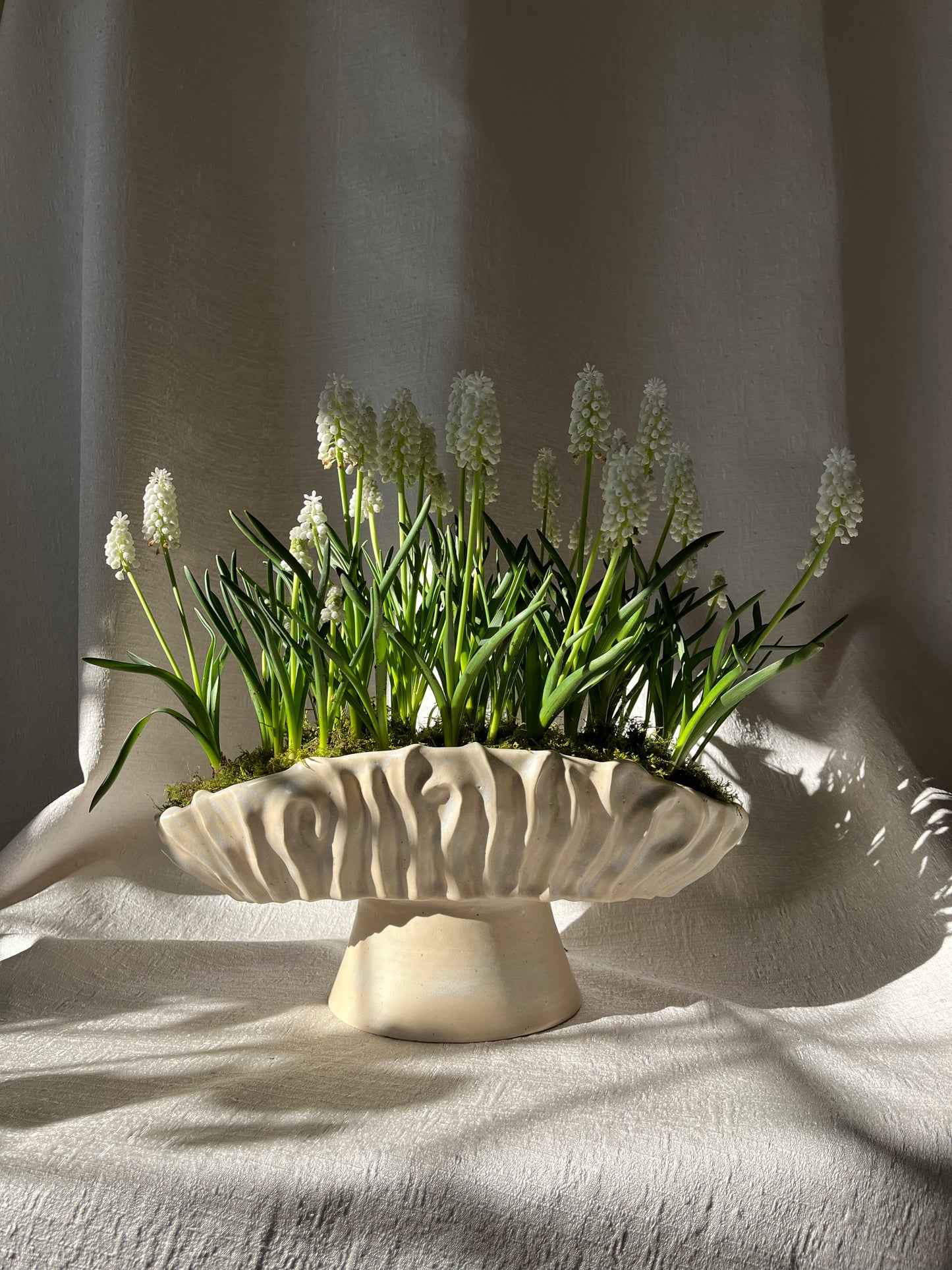 Textured Oval Pedestal Planter - Opal