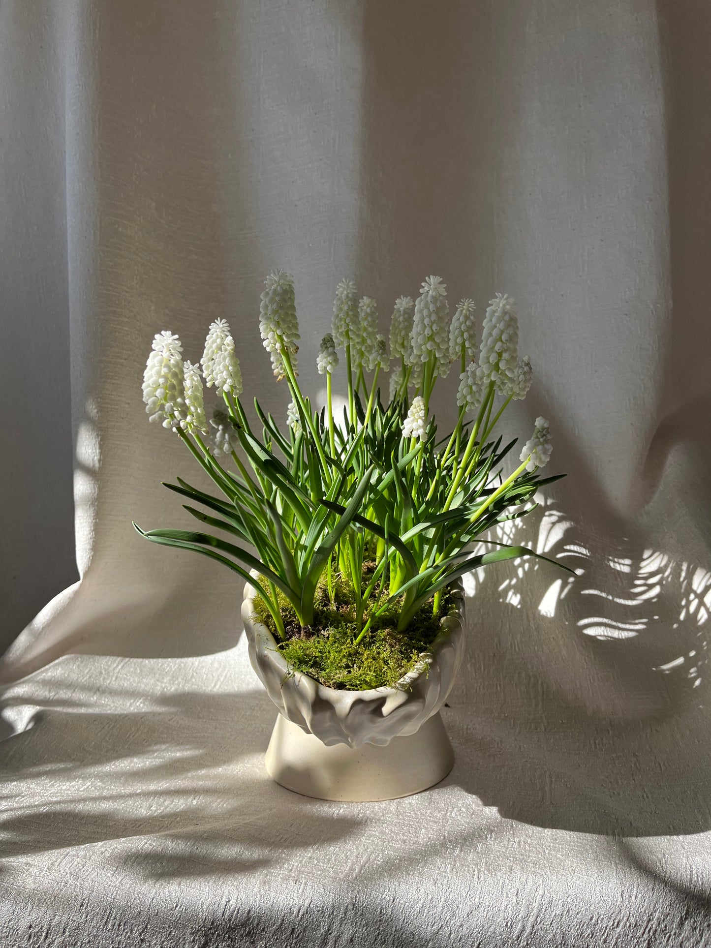 Textured Oval Pedestal Planter - Opal