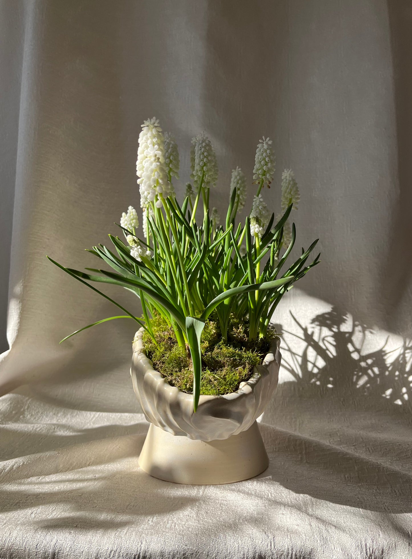 Textured Oval Pedestal Planter - Opal
