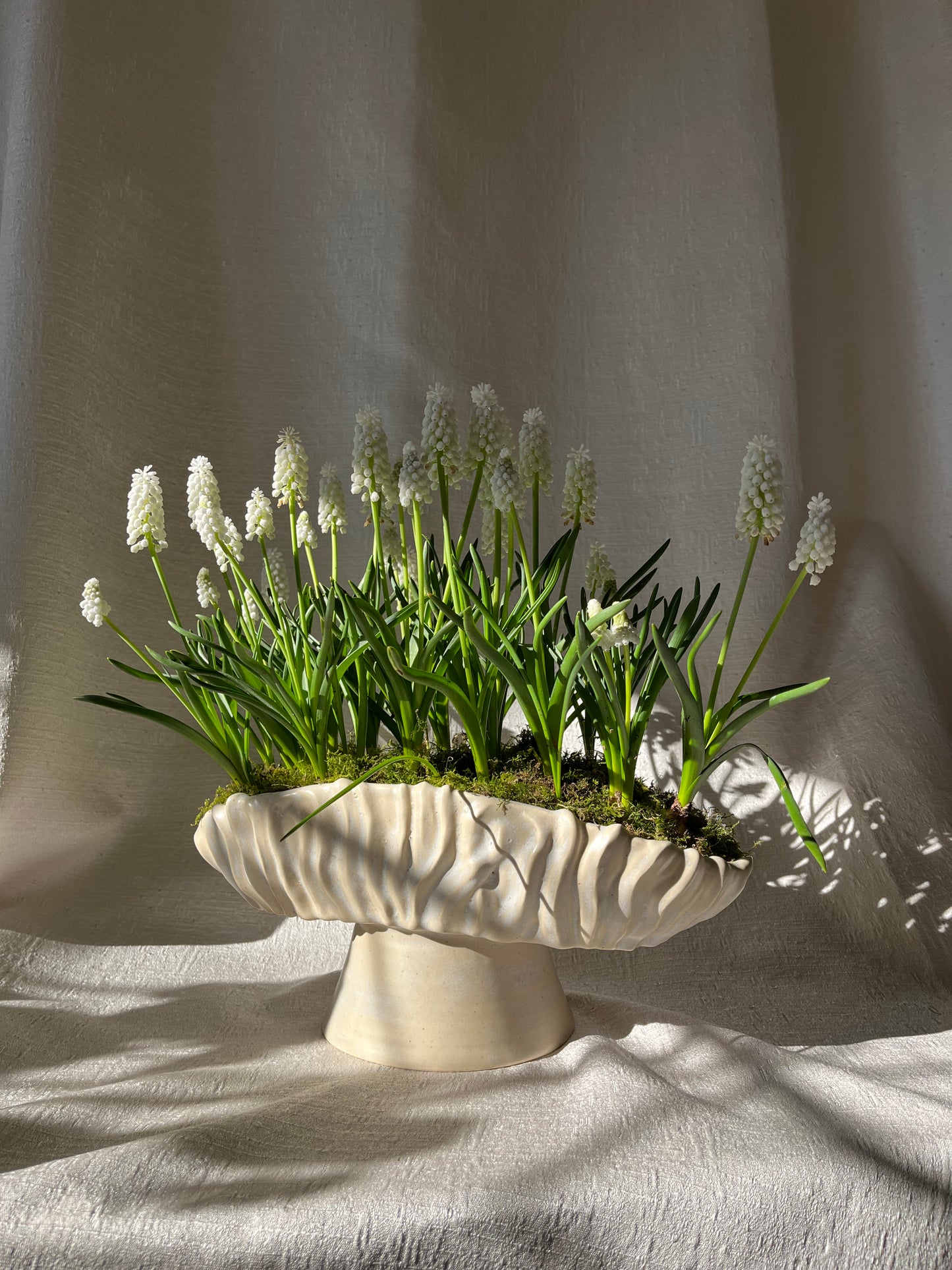 Textured Oval Pedestal Planter - Opal