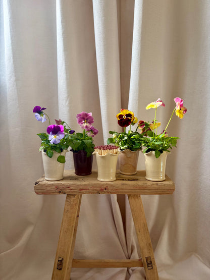 Frilly Matchstick/Miniature Plant Pot