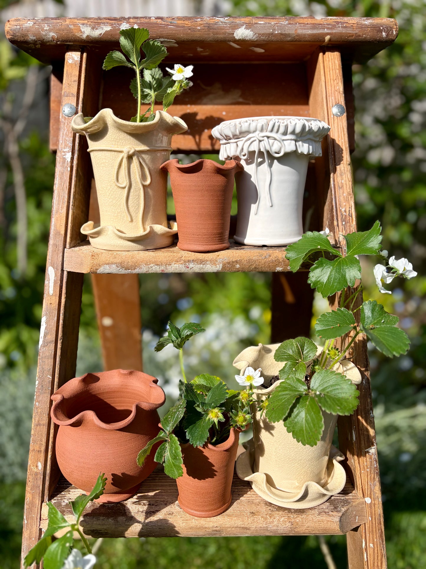 Frilly Plant Pot with Bow