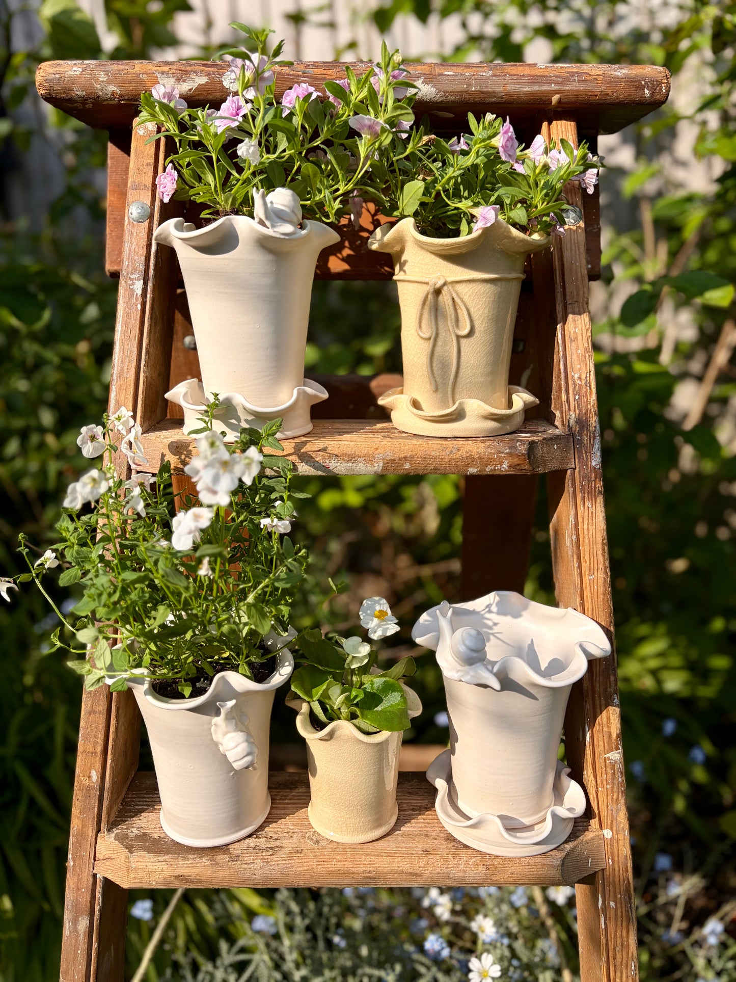 Frilly Snail Plant Pot