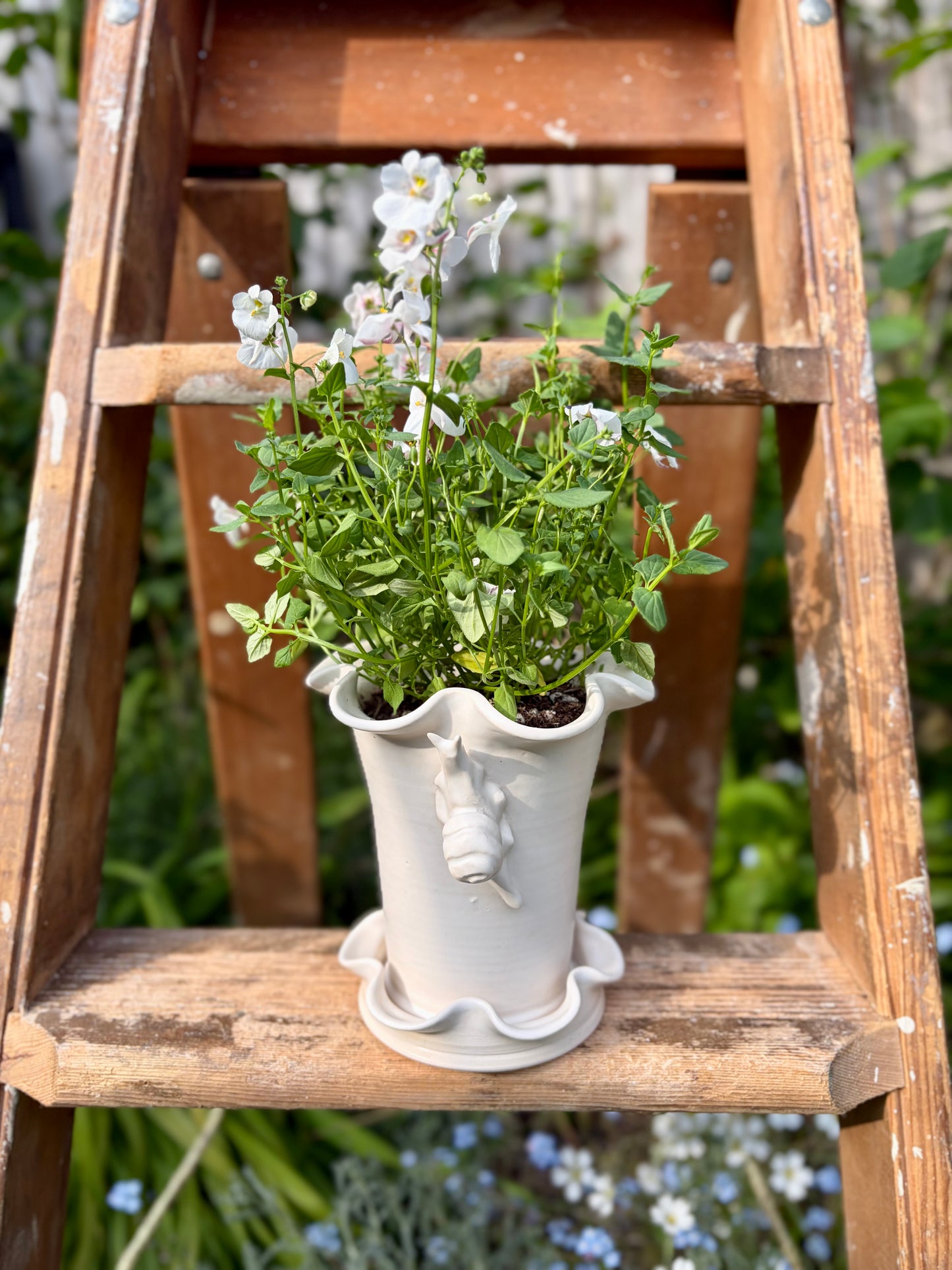 Frilly Snail Plant Pot
