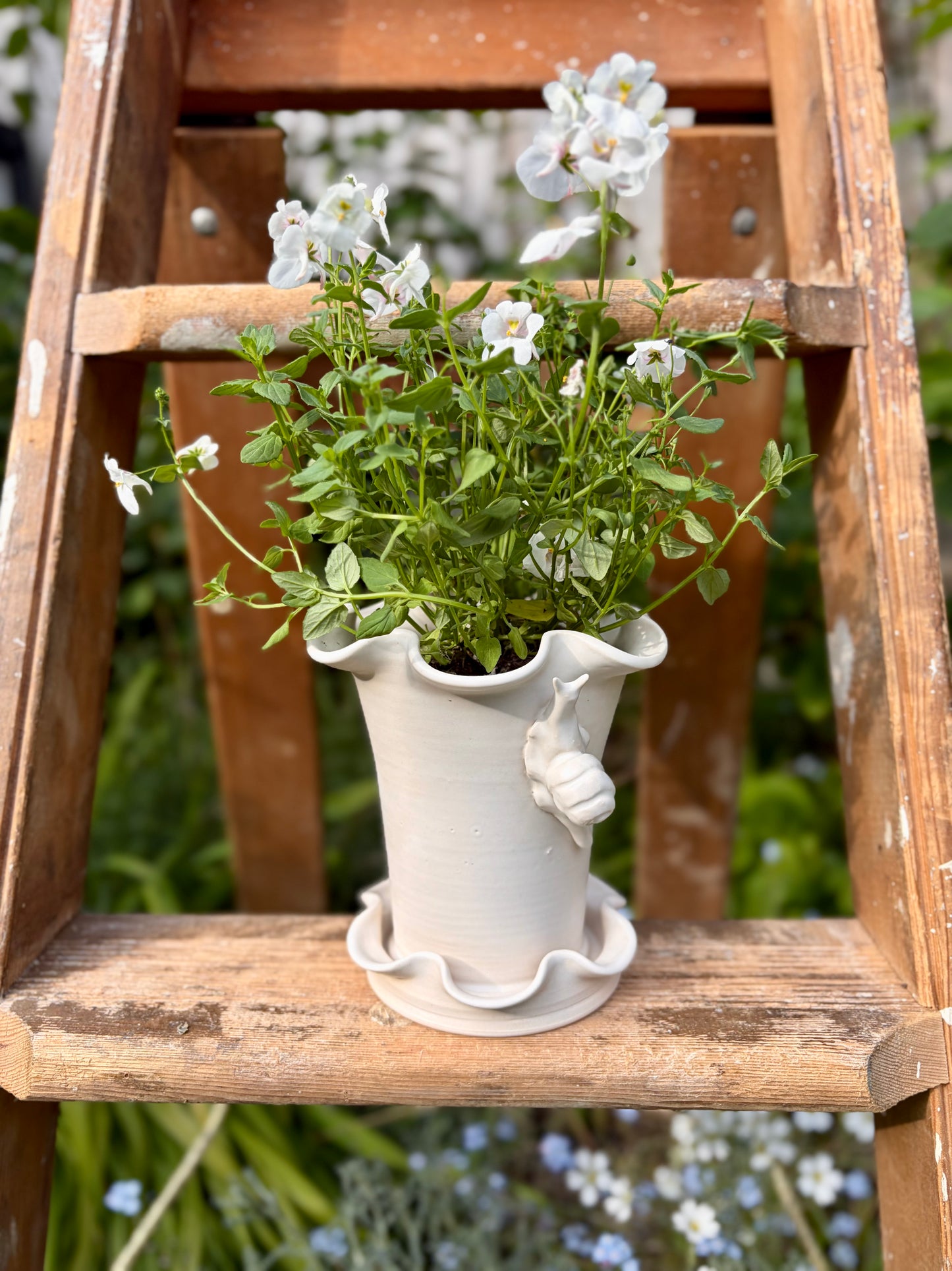 Frilly Snail Plant Pot