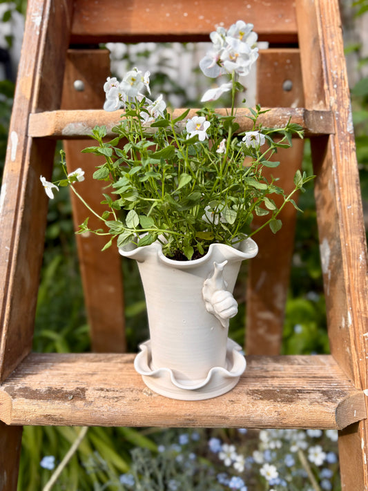 Frilly Snail Plant Pot