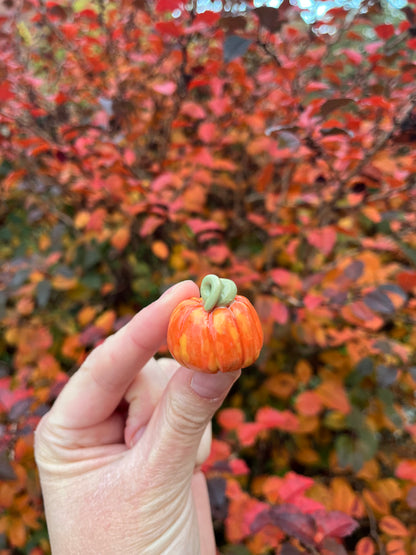 1 Pocket Pumpkins