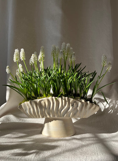 Textured Oval Pedestal Planter - Opal