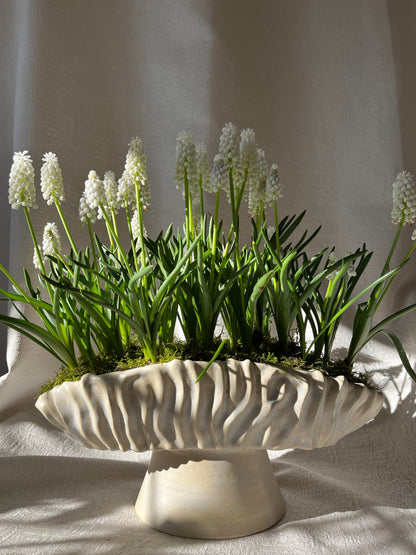 Textured Oval Pedestal Planter - Opal