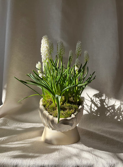 Textured Oval Pedestal Planter - Opal