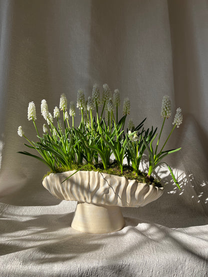 Textured Oval Pedestal Planter - Opal