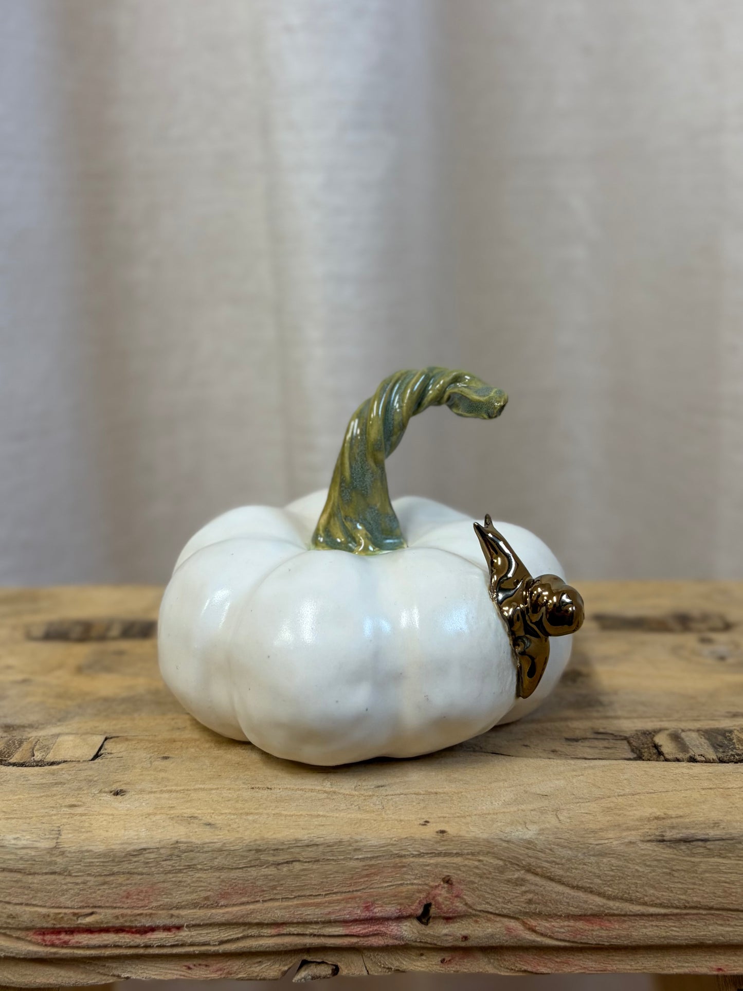 Pumpkin 06